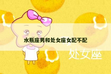 水瓶座男和处女座女配不配