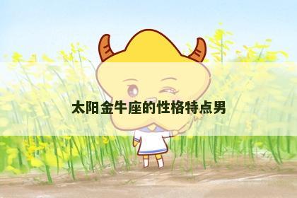 太阳金牛座的性格特点男