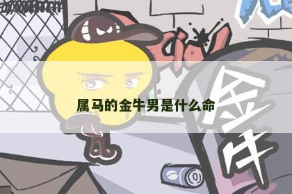 属马的金牛男是什么命