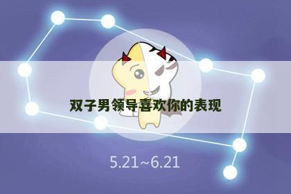 双子男领导喜欢你的表现