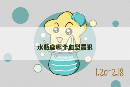 水瓶座哪个血型最狠