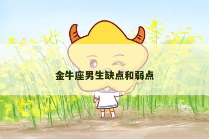 金牛座男生缺点和弱点