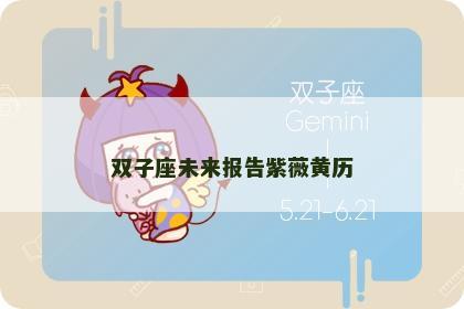 双子座未来报告紫薇黄历