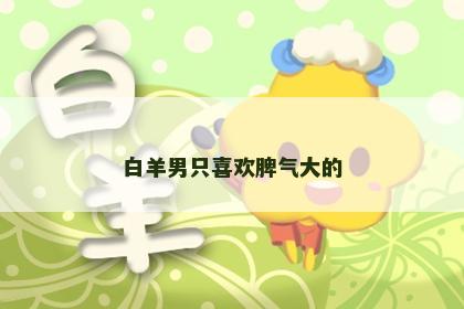 白羊男只喜欢脾气大的