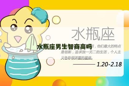 水瓶座男生智商高吗