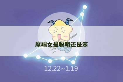 摩羯女是聪明还是笨