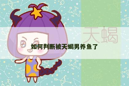 如何判断被天蝎男养鱼了