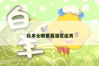 白羊女眼里最强星座男