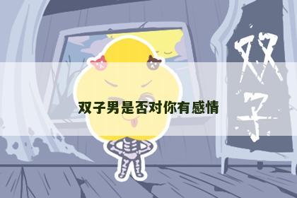 双子男是否对你有感情