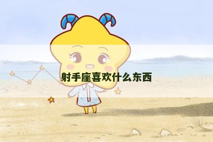 射手座喜欢什么东西