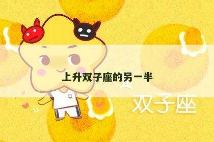 上升双子座的另一半